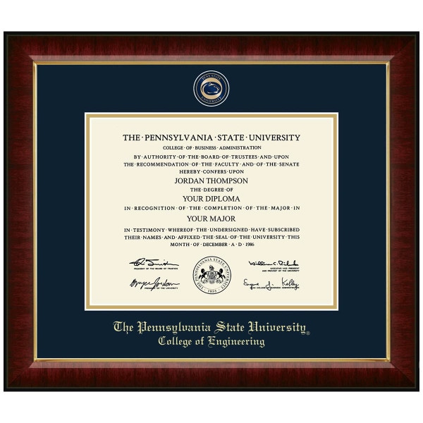 #113 College of Engineering diploma frame Masterpiece Medallion in Murano (Cherry)